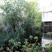 Floreasca, Parcul Cinema - comision 0%!
